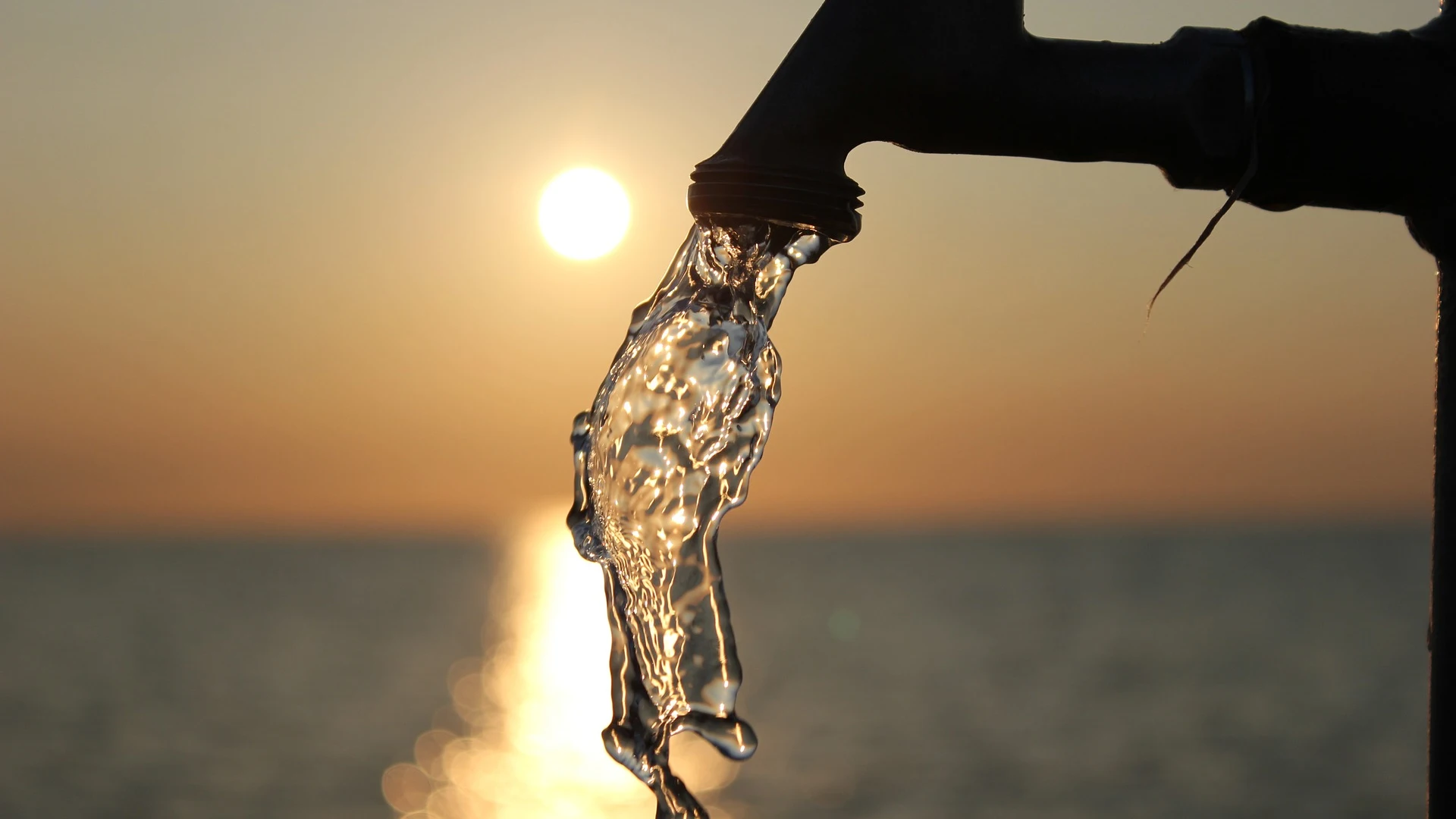 Cuantos protozoos hay en el agua que bebemos