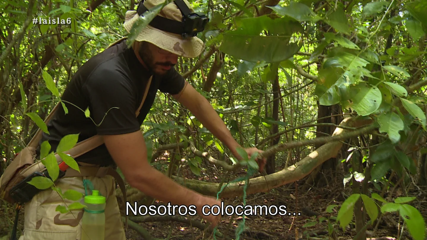 Los aventureros colocan trampas Los aventureros colocan trampas