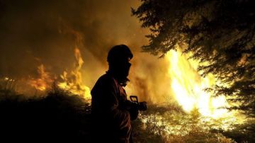 Bomberos de Madrid ayudan a extinguir el fuego en Portugal