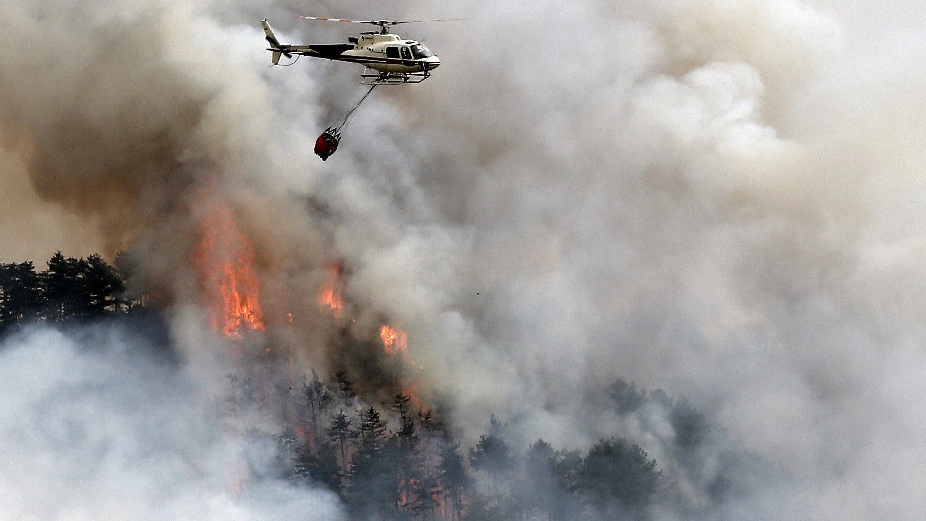 Incendio declarado en Arazuri