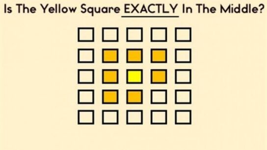 Test de inteligencia visual que arrasa en las redes