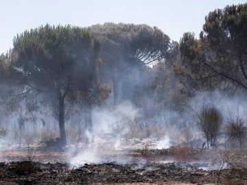 Incendio en Doñana Incendio en Doñana
