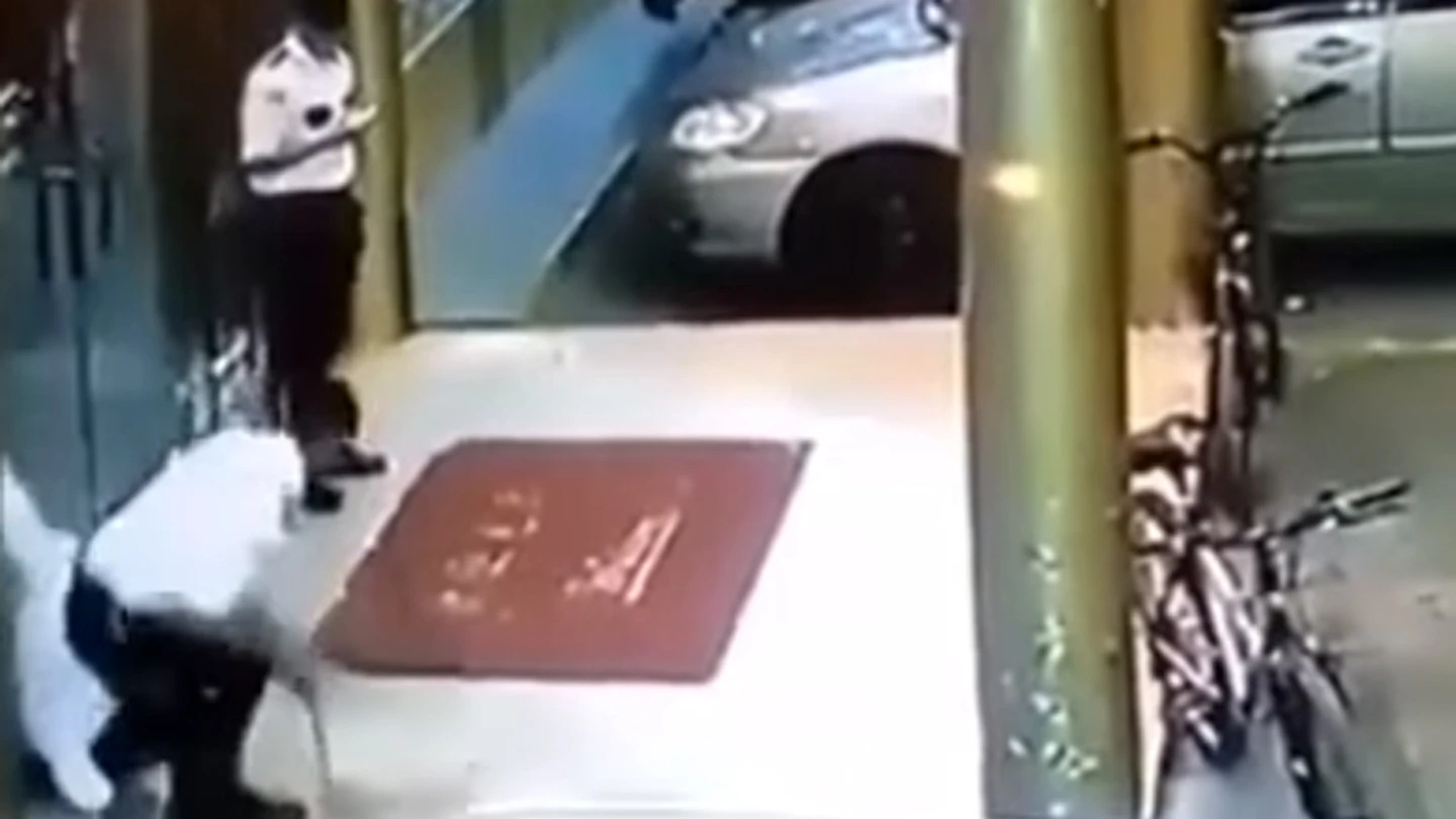 Mata accidentalmente a su compañero de un disparo Mata accidentalmente a su compañero de un disparo