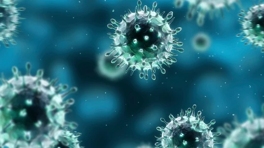 Bacterias Bacterias