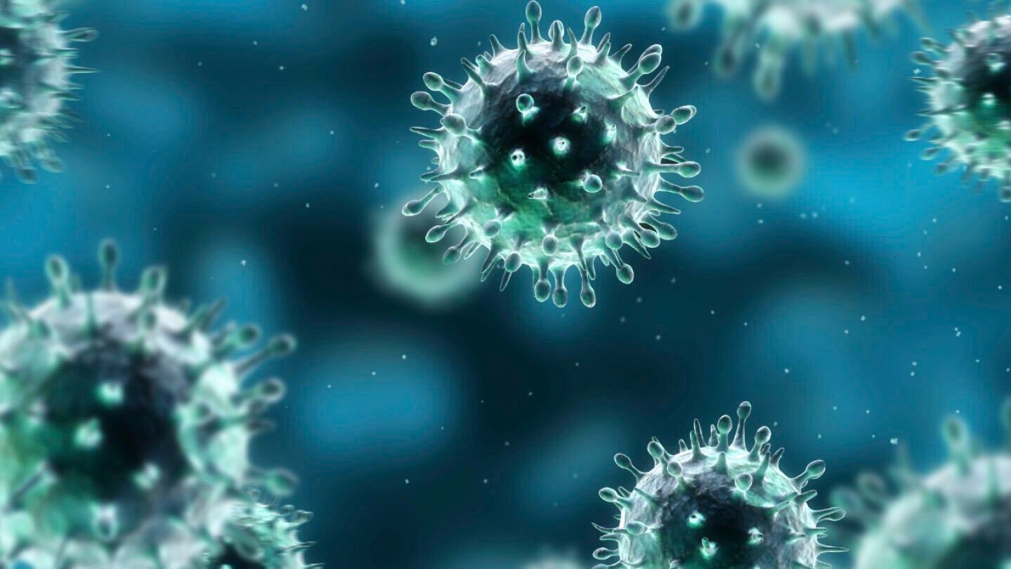 Bacterias