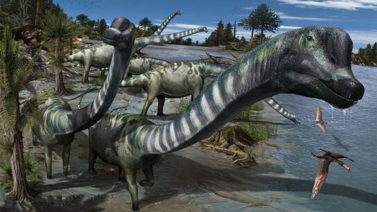 Un dinosaurio jirafa hallado en Burgos toma el nombre de Clint Eastwood