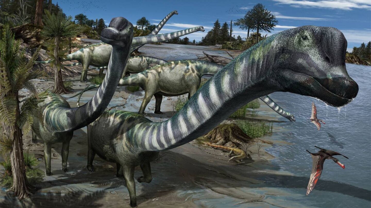 Un dinosaurio jirafa hallado en Burgos toma el nombre de Clint Eastwood