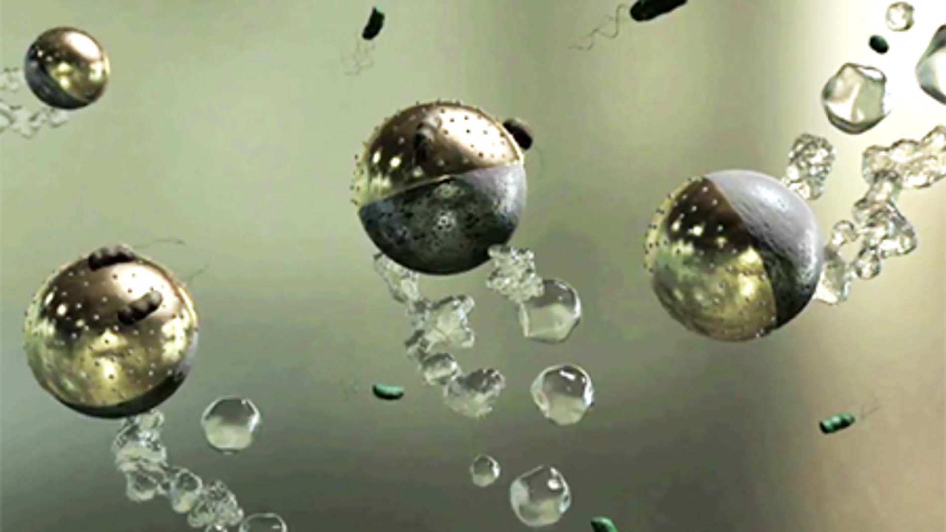 Microrobots para eliminar las bacterias del agua