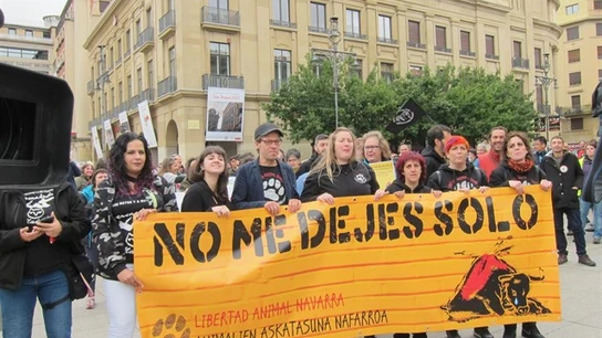 Cientos de personas piden en Pamplona "el fin a la tauromaquia" Cientos de personas piden en Pamplona "el fin a la tauromaquia"