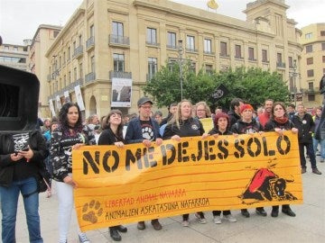 Cientos de personas piden en Pamplona "el fin a la tauromaquia" Cientos de personas piden en Pamplona "el fin a la tauromaquia"