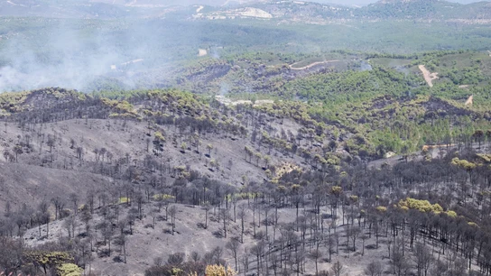 Estabilizado el incendio de Riotinto (Huelva) 29 horas después de declararse Estabilizado el incendio de Riotinto (Huelva) 29 horas después de declararse