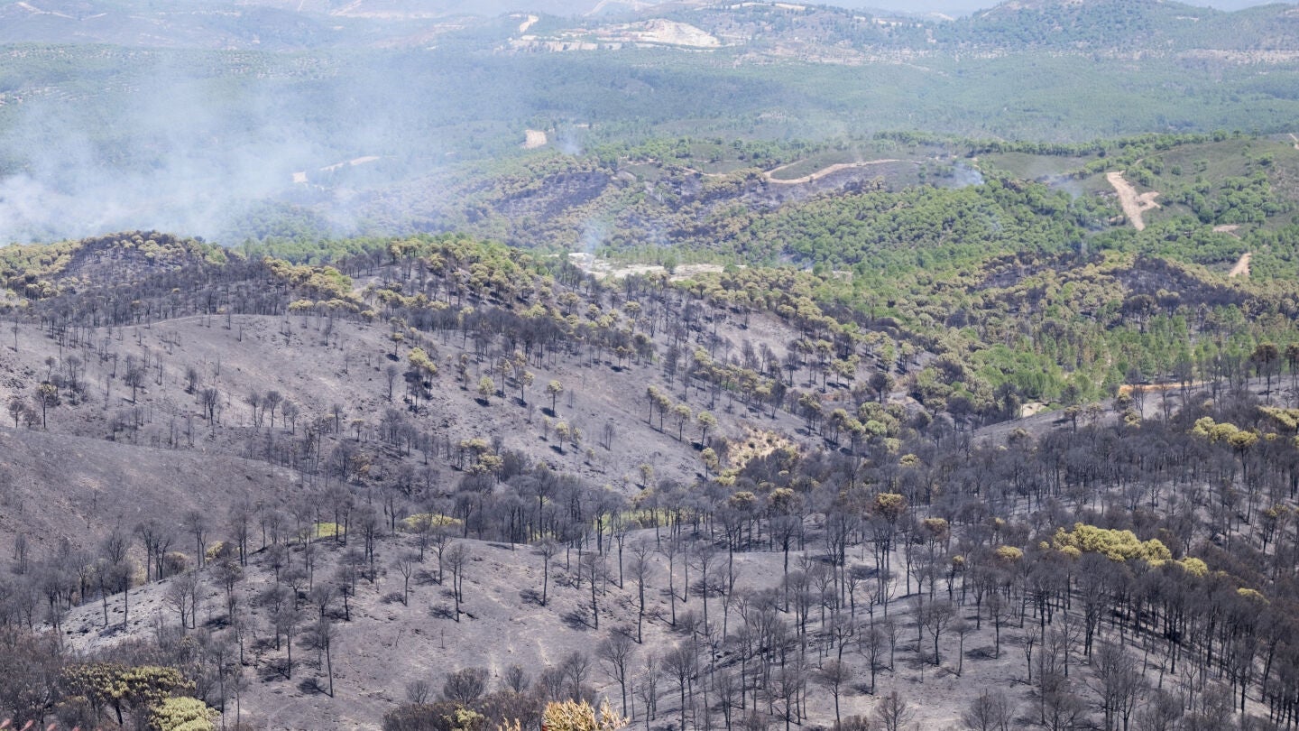 Estabilizado el incendio de Riotinto (Huelva) 29 horas despu&eacute;s de declararse