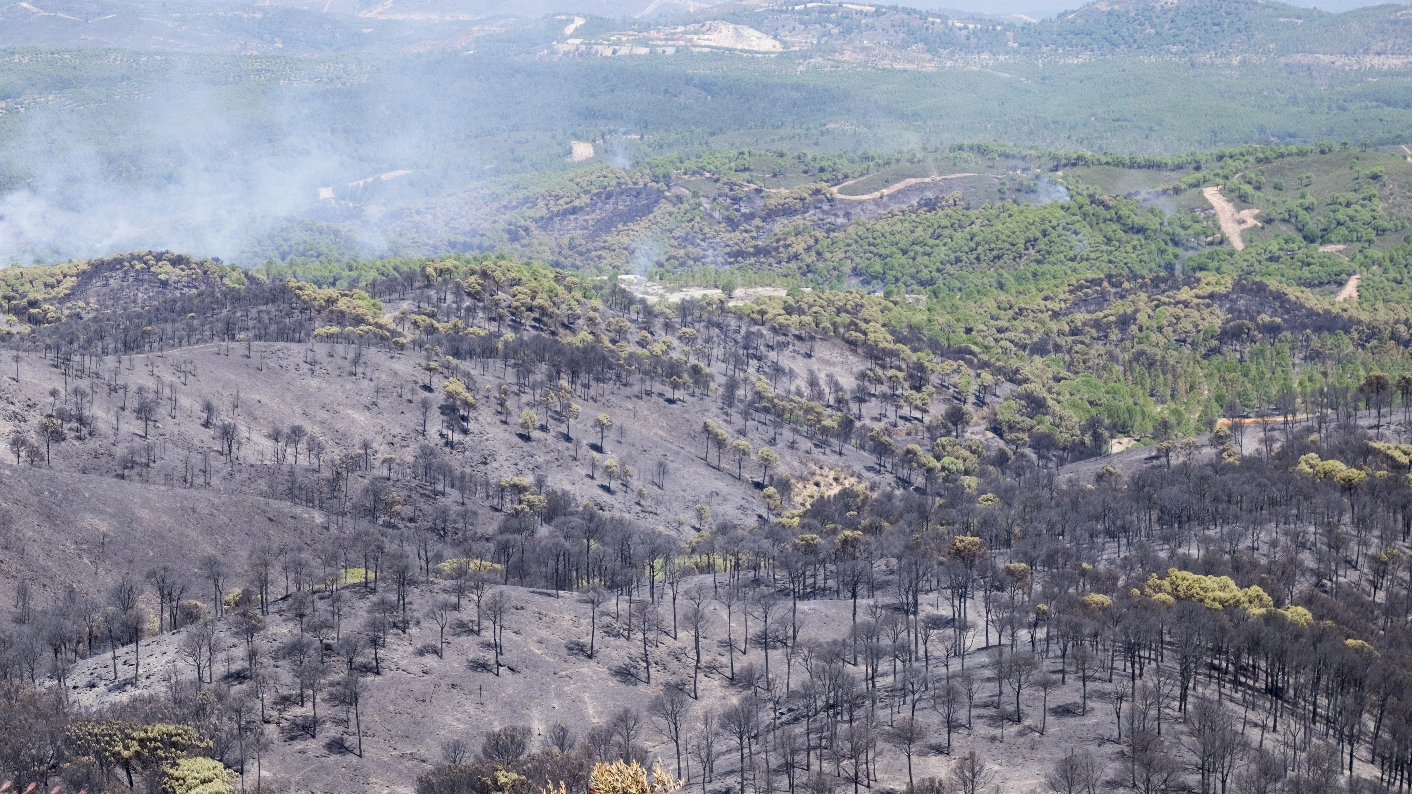 Estabilizado el incendio de Riotinto (Huelva) 29 horas después de declararse