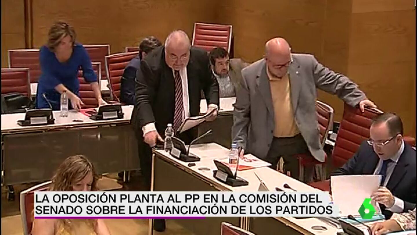 planta pp
