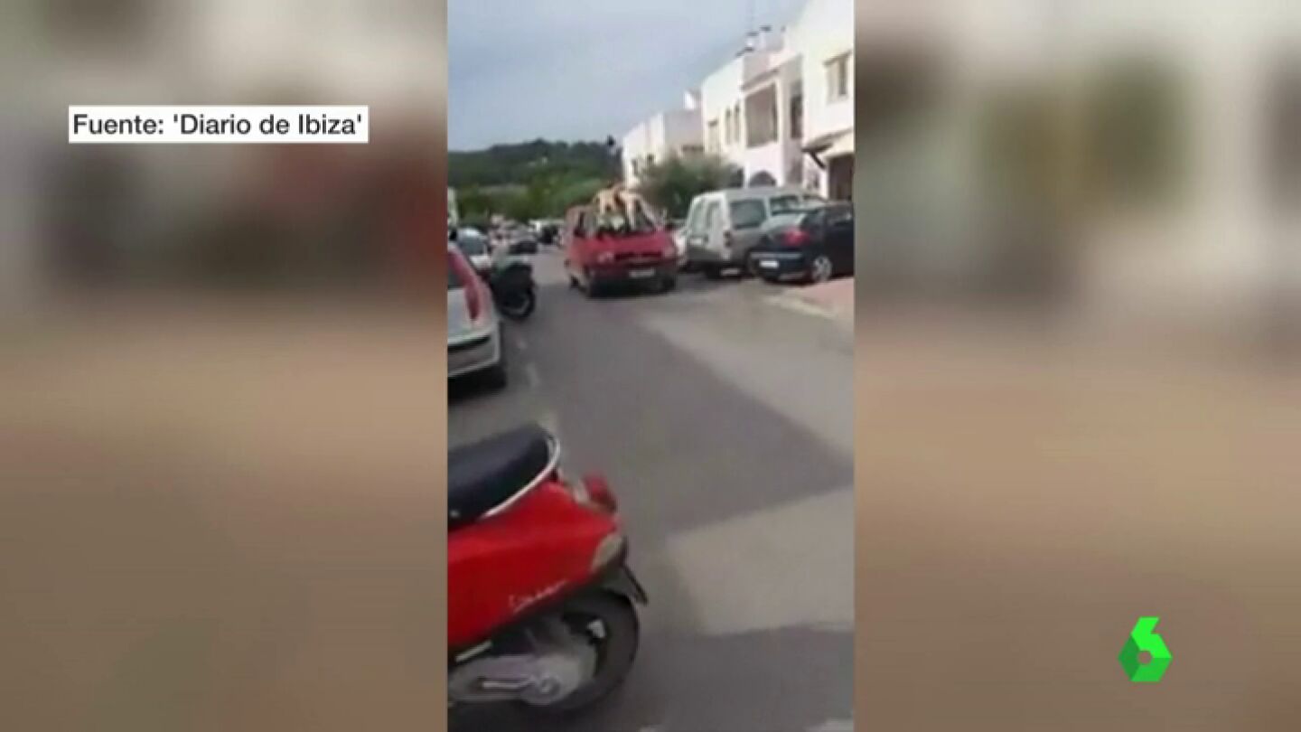 desnudos ibiza