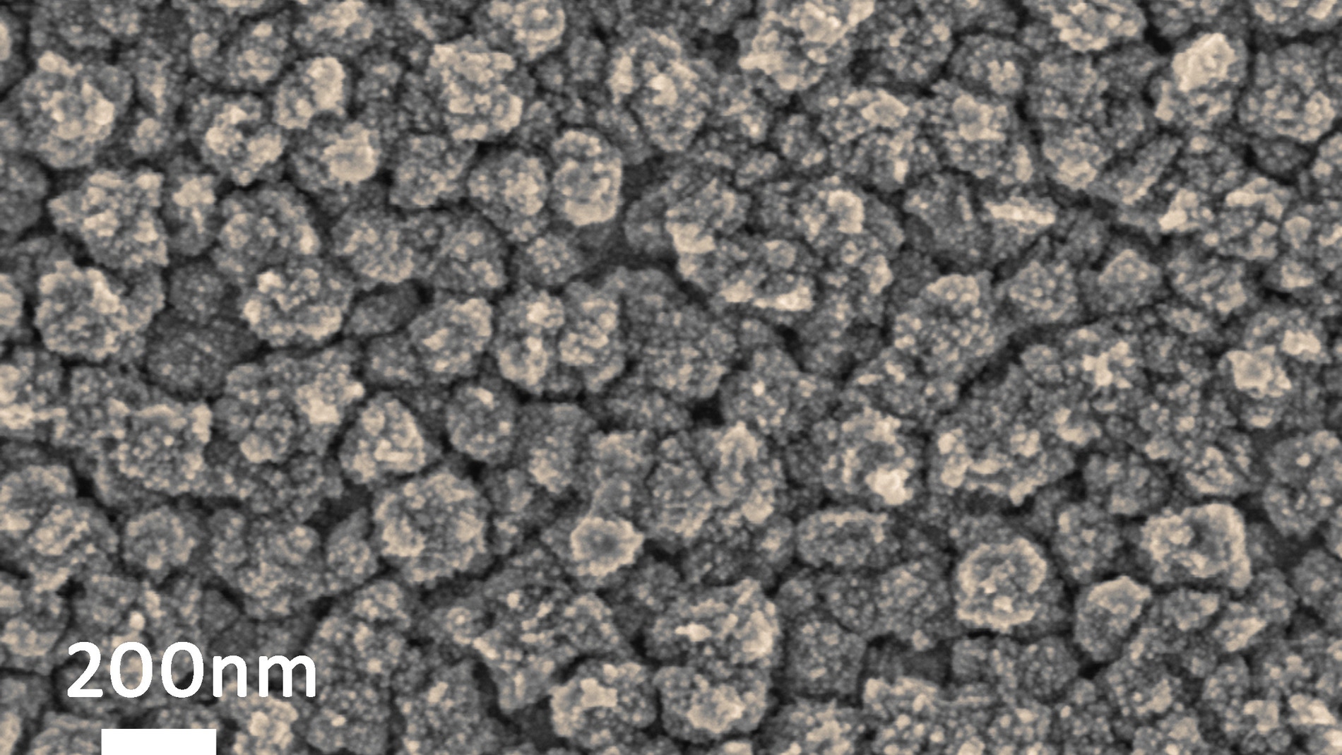 Nanoesponja metálica vista al microscopio