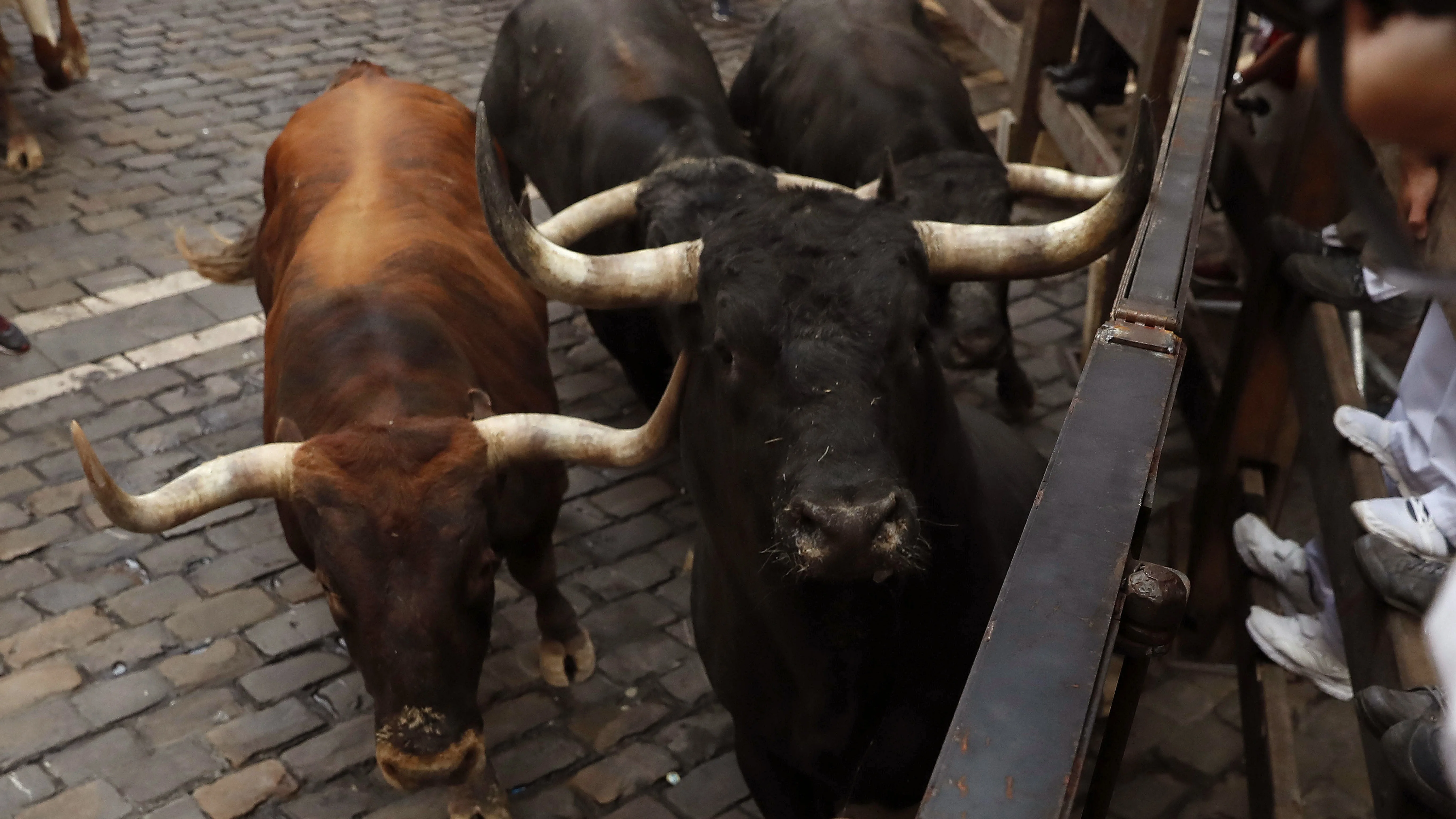 Los toros de Miura de Lora del Río (Sevilla) a su paso por la curva de Mercaderes en un último encierro en el que han dejado cinco heridos, ninguno por asta.