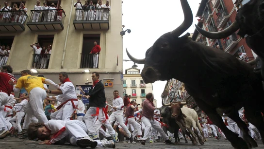 Octavo encierro | San Fermín 2017 Los toros de Miura pasan por la curva de Mercaderes en el último encierro de las fiestas de 2017.