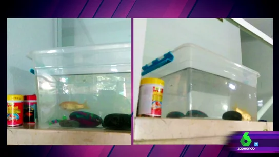 Pesesín antes y después Pesesín antes y después