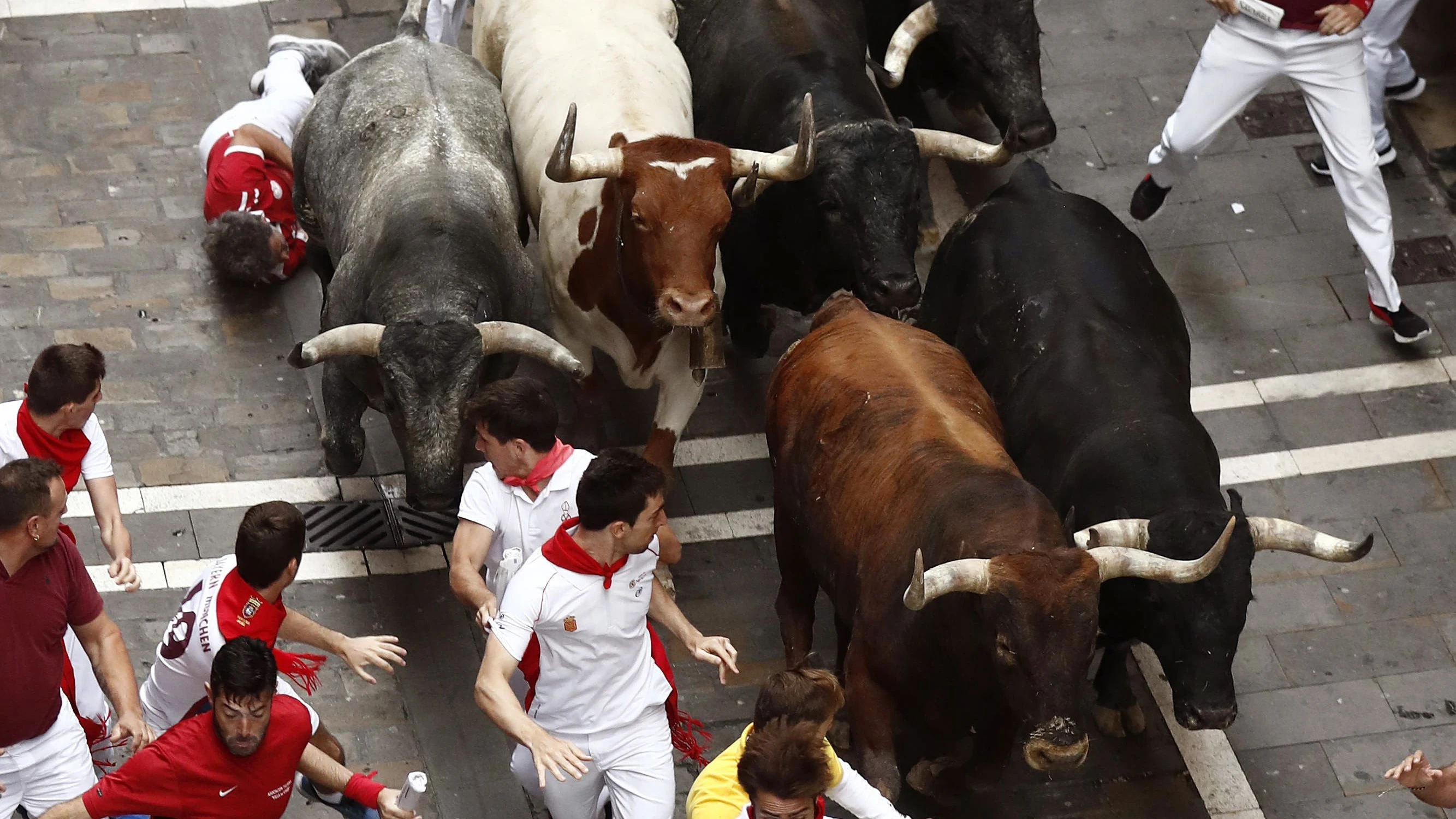 El último encierro de los Sanfermines 2017 han contado con los toros de Miura, de Lora del Río (Sevilla).