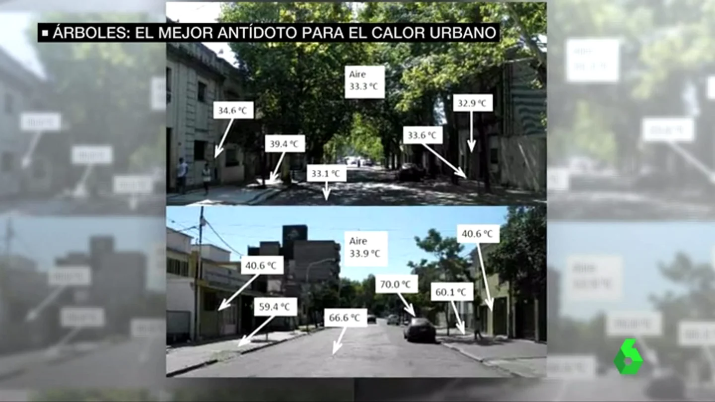De una calle sin árboles a otra con ellos... De una calle sin árboles a otra con ellos...