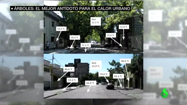 De una calle sin árboles a otra con ellos... De una calle sin árboles a otra con ellos...