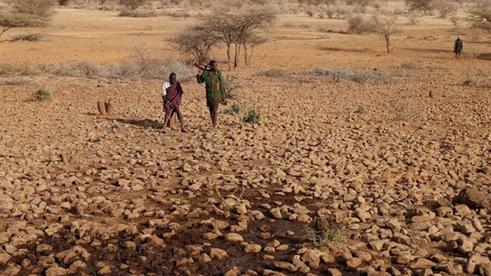 Campos secos por la falta de lluvia en África Campos secos por la falta de lluvia en África