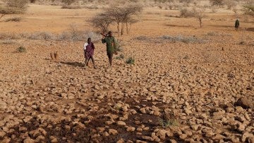 Campos secos por la falta de lluvia en África