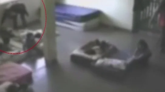 Agresión a bebés en una guardería Agresión a bebés en una guardería
