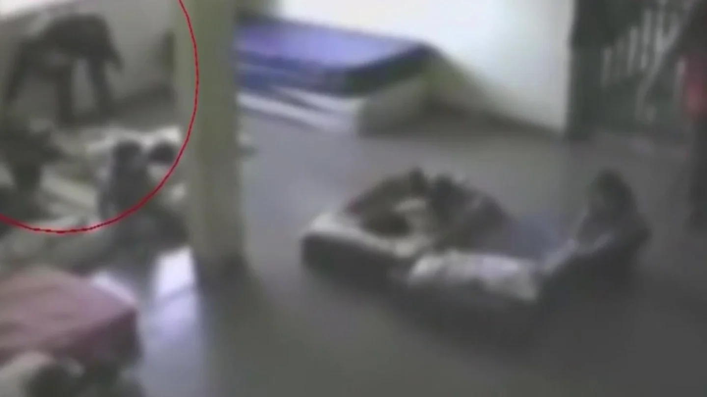 Agresión a bebés en una guardería Agresión a bebés en una guardería