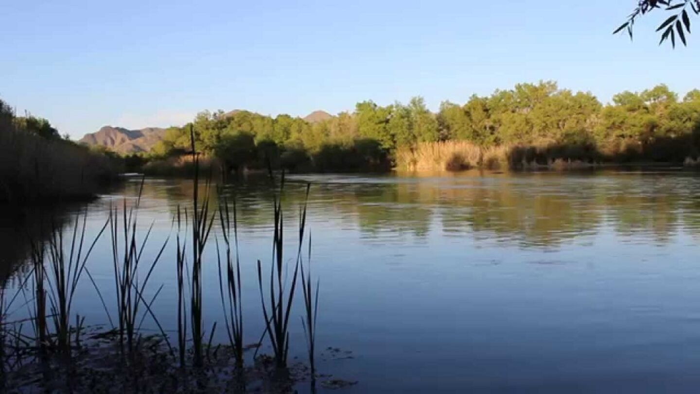 R&iacute;o verde en Arizona