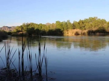 Río verde en Arizona Río verde en Arizona