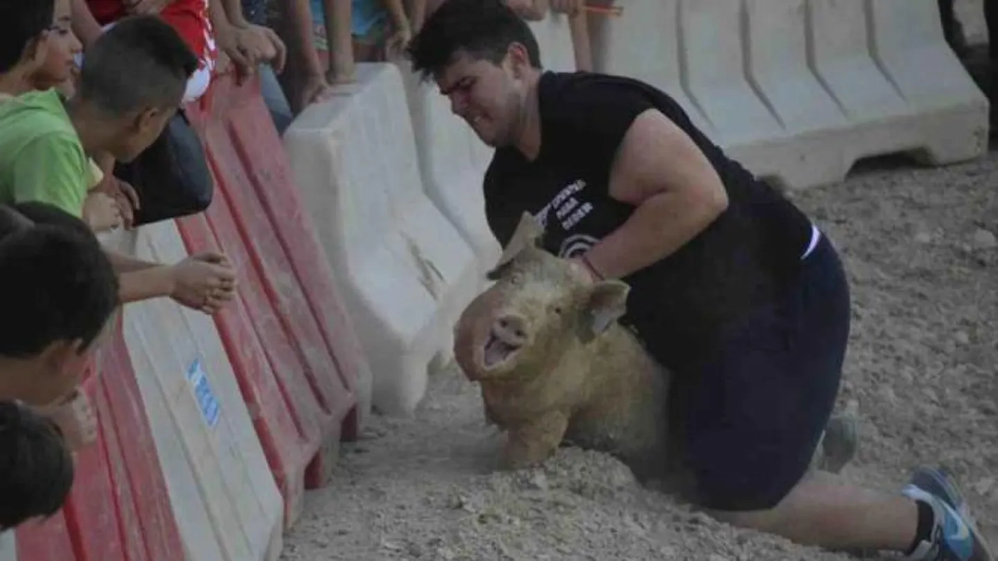 La polémica 'caza del marrano' en Ceutí ya ha sido prohibida La polémica 'caza del marrano' en Ceutí ya ha sido prohibida