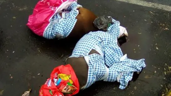 Los cuerpos de los animales envueltos en plástico en plena calle Los cuerpos de los animales envueltos en plástico en plena calle