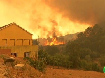 Los incendios obligan a evacuar a 10.000 personas en Francia y 10 aldeas en Portugal Los incendios obligan a evacuar a 10.000 personas en Francia y 10 aldeas en Portugal