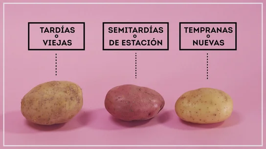 Tipos de patatas Tipos de patatas