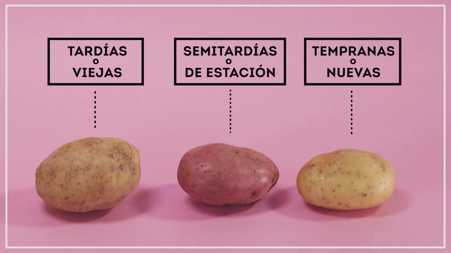 Tipos de patatas Tipos de patatas