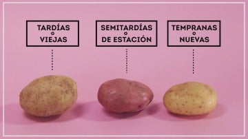 Tipos de patatas