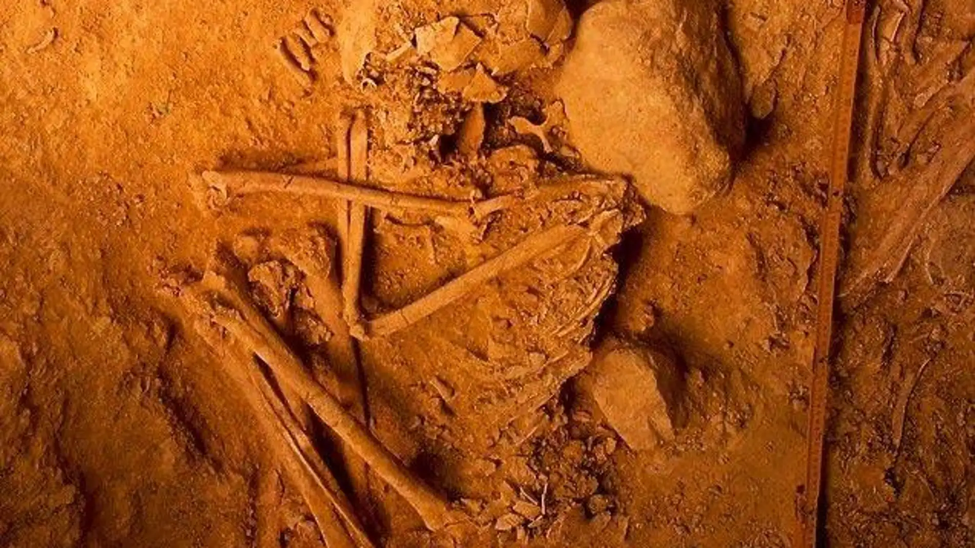 Las invasiones de la Edad de Bronce casi no afectaron a la Peninsula