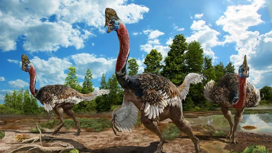 Recreación artística del Corythoraptor Recreación artística del Corythoraptor