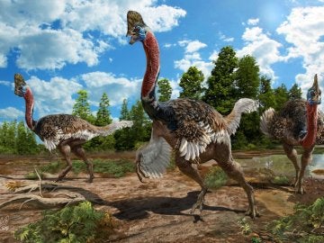 Recreación artística del Corythoraptor Recreación artística del Corythoraptor