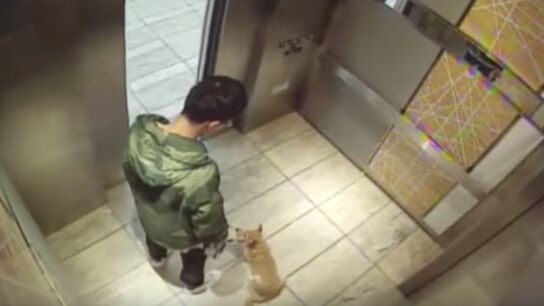 Una captura del v&iacute;deo