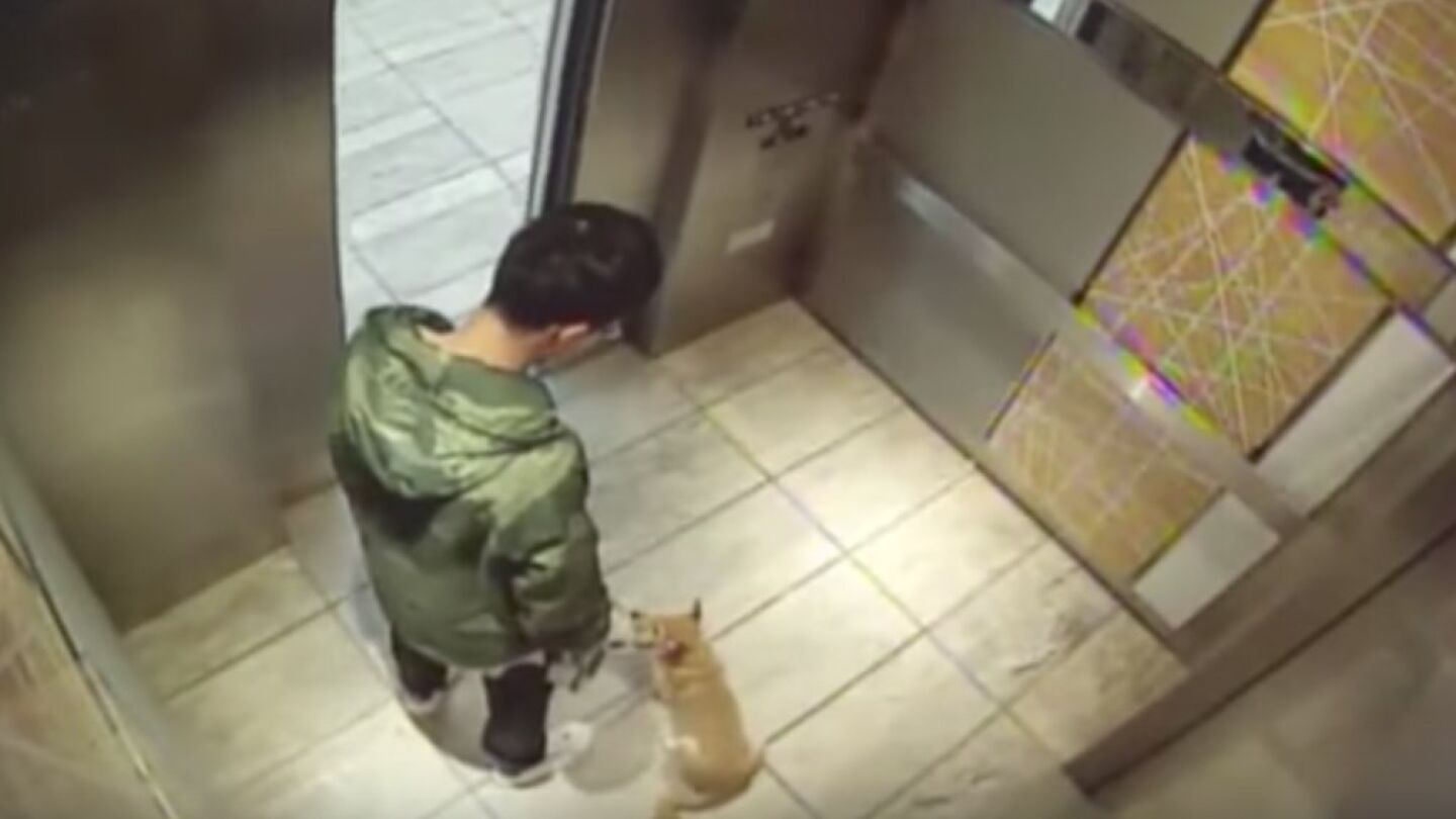 Una captura del v&iacute;deo