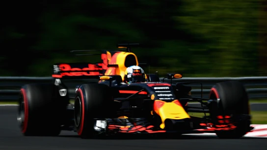 Daniel Ricciardo, rodando en Hungaroring Daniel Ricciardo, rodando en Hungaroring