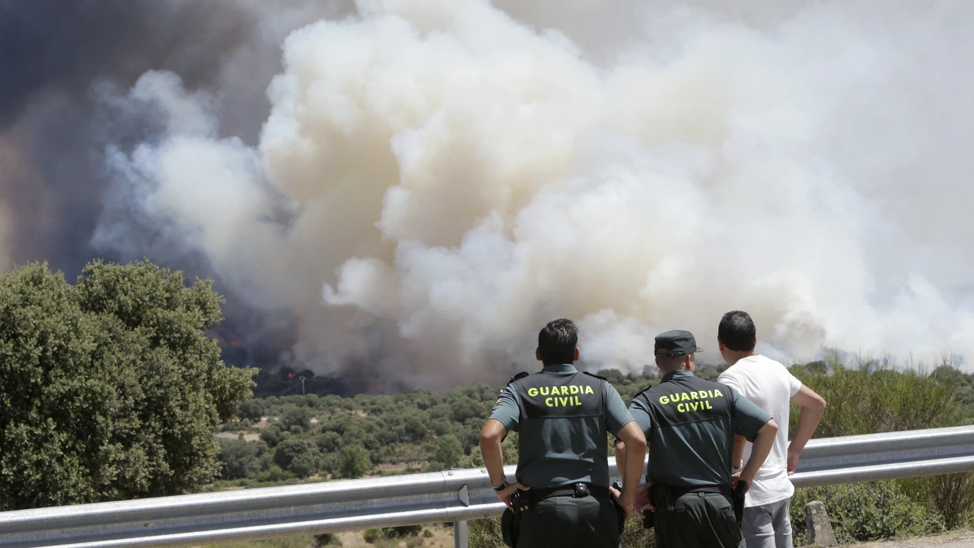 Agentes observan el incendio forestal en la localidad zamorana de Pino del Oro