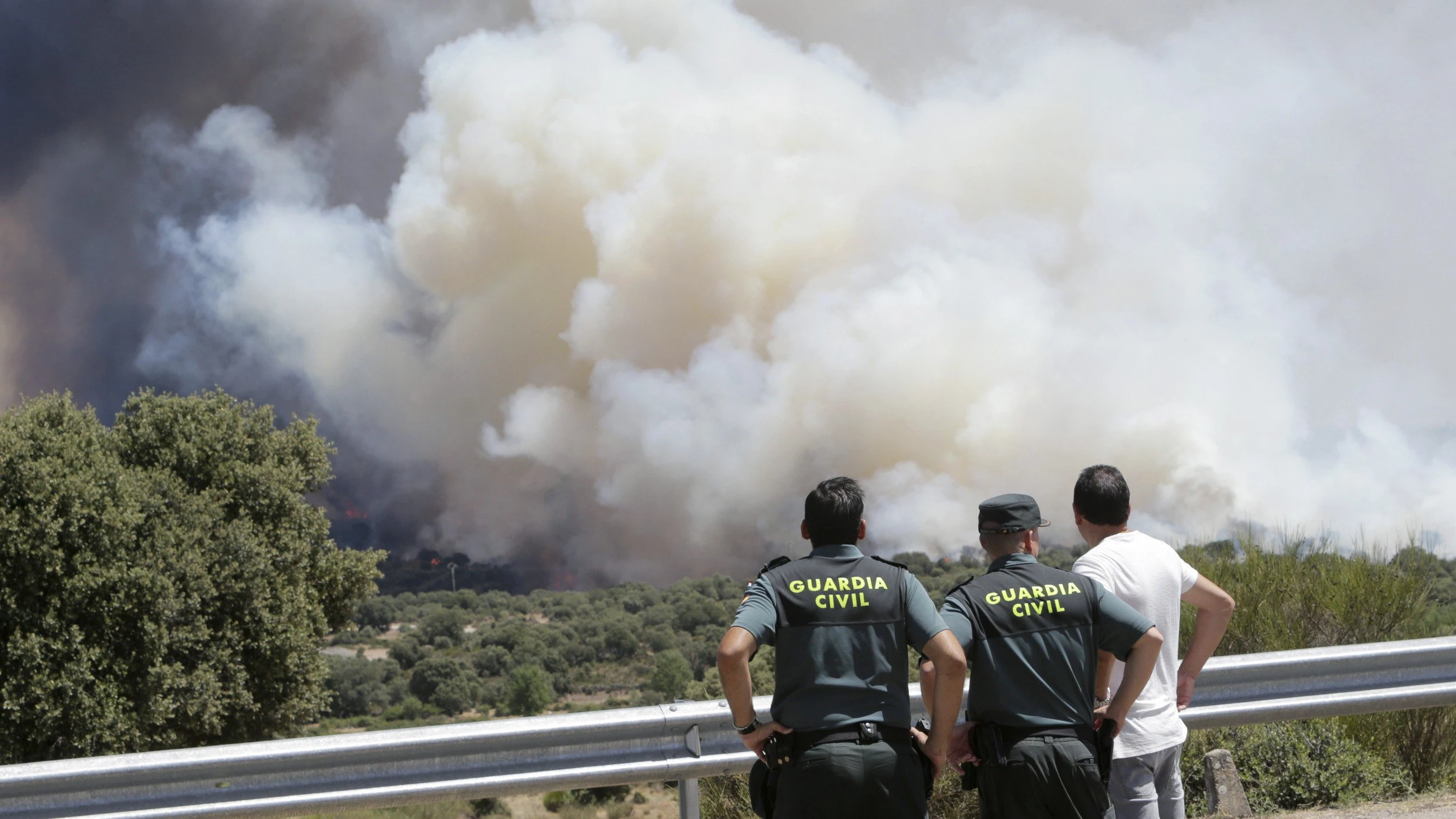 Agentes observan el incendio forestal en la localidad zamorana de Pino del Oro