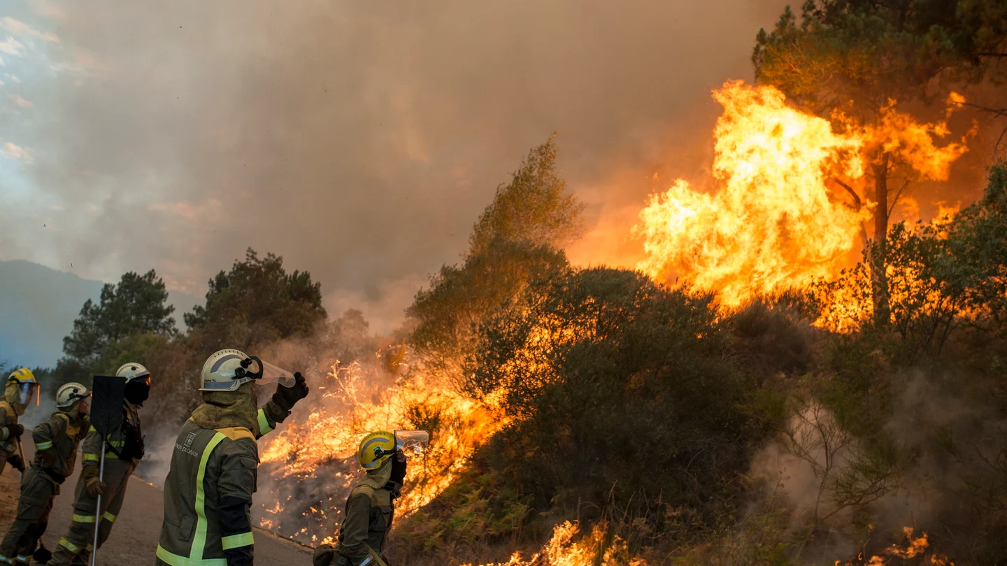 Incendio registrado en el ayuntamiento orensano de Monterrei, en la parroquia de Infesta Incendio registrado en el ayuntamiento orensano de Monterrei, en la parroquia de Infesta
