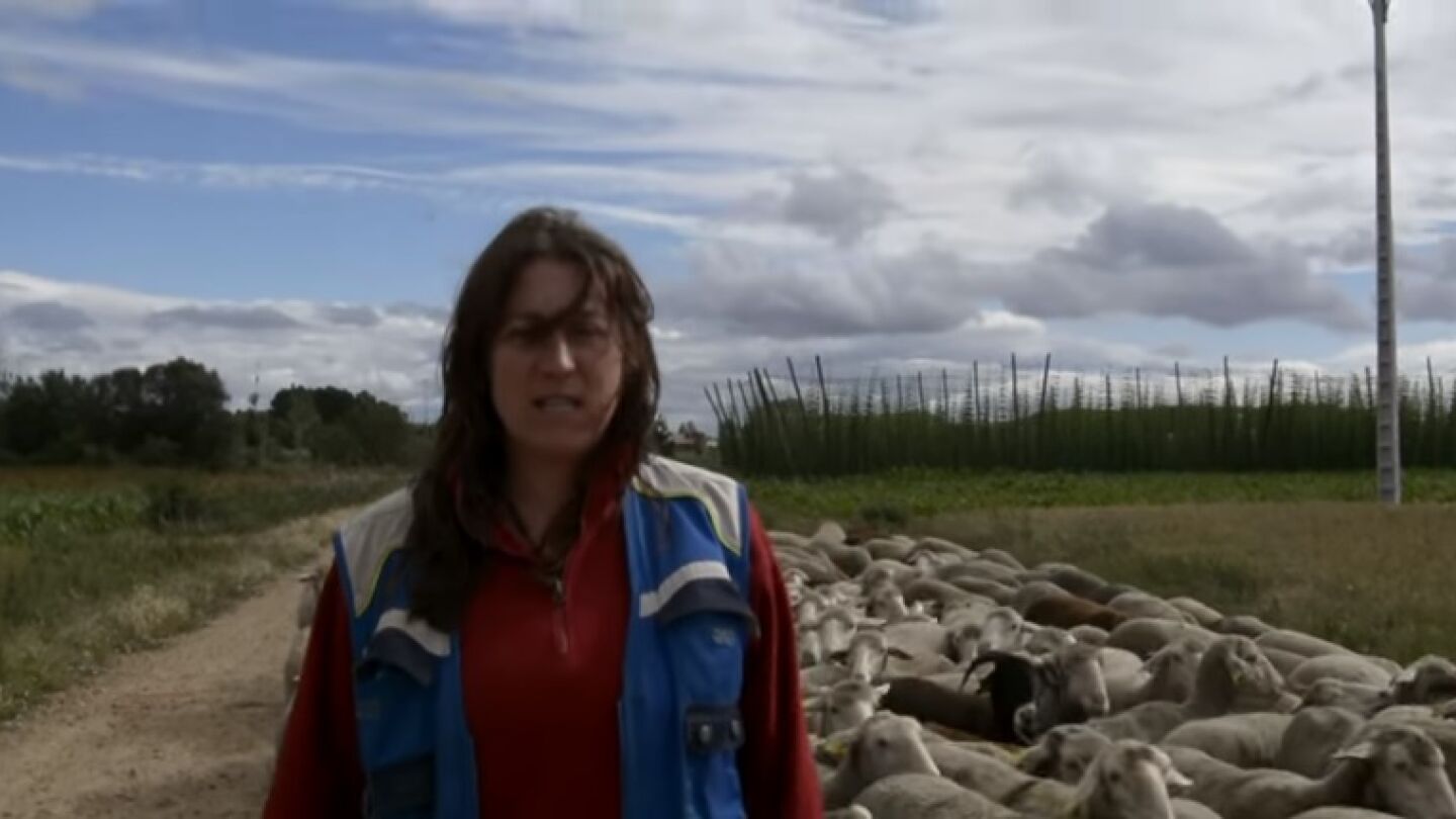 Una captura de la versi&oacute;n rural de 'Despacito' de 'Ganaderas en red'