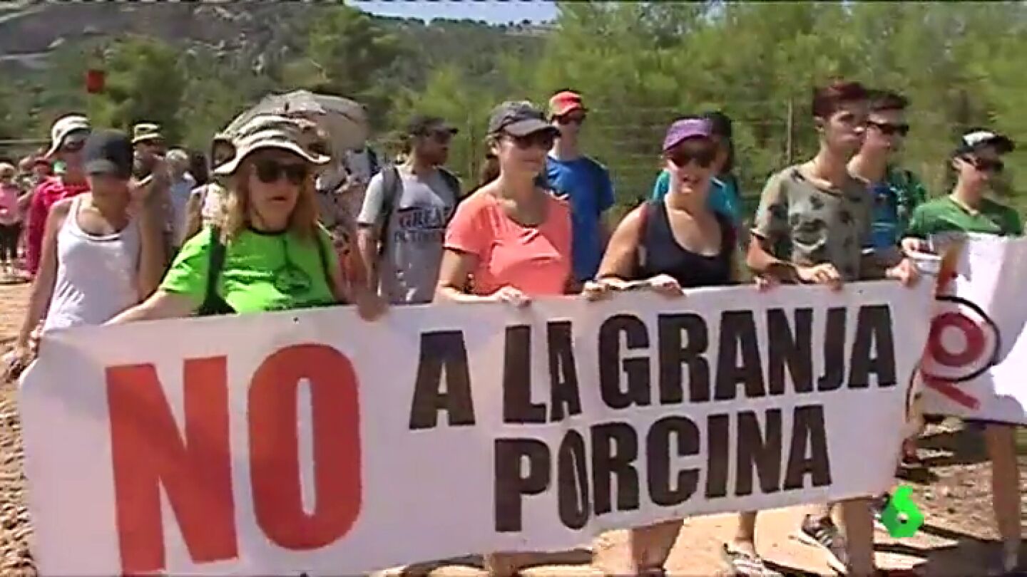 Protesta contra una granja porcina