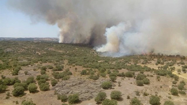  Uno de los focos del incendio de Zamora 